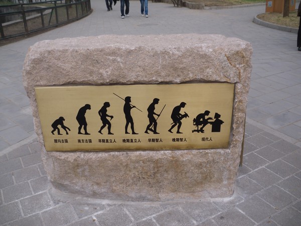 evolution-de-l-homme