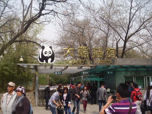 maison-des-pandas-zoo-de-beijing