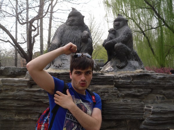 martin-et-deux-singes