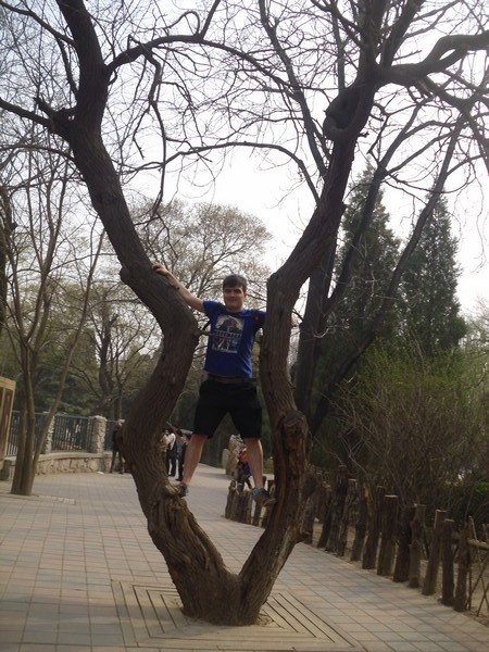 moi-zoo-de-beijing